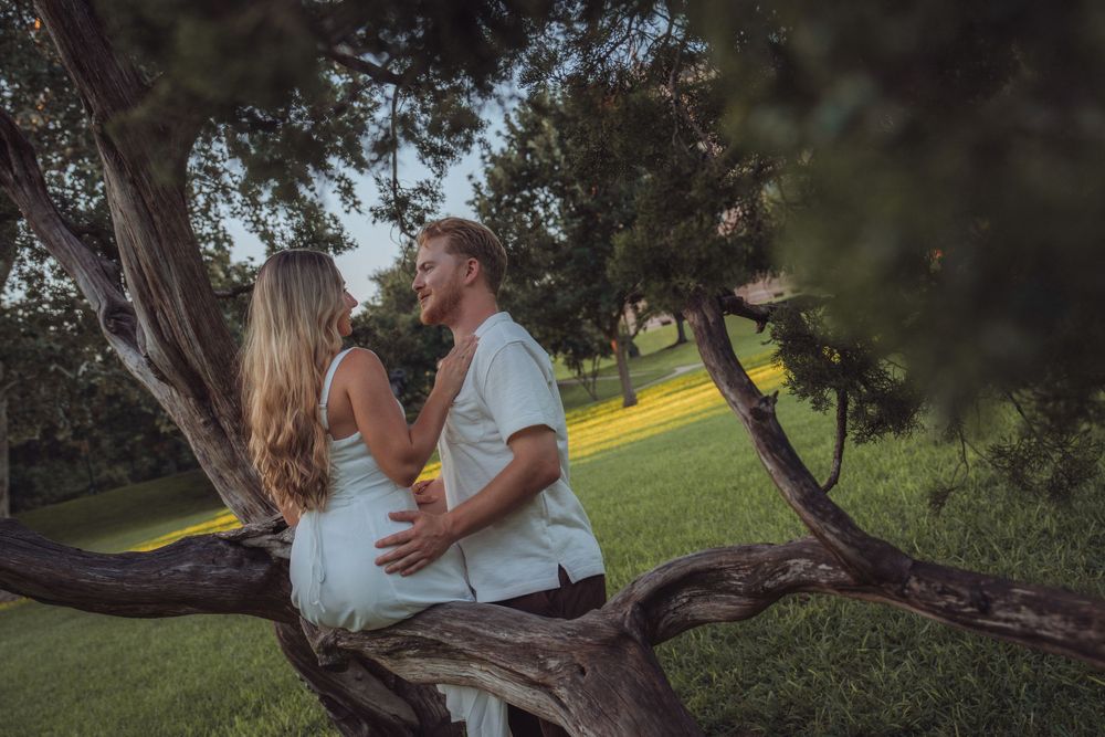 A couple shares a romantic moment sitting on a curved tree branch in a lush green park at dusk.
