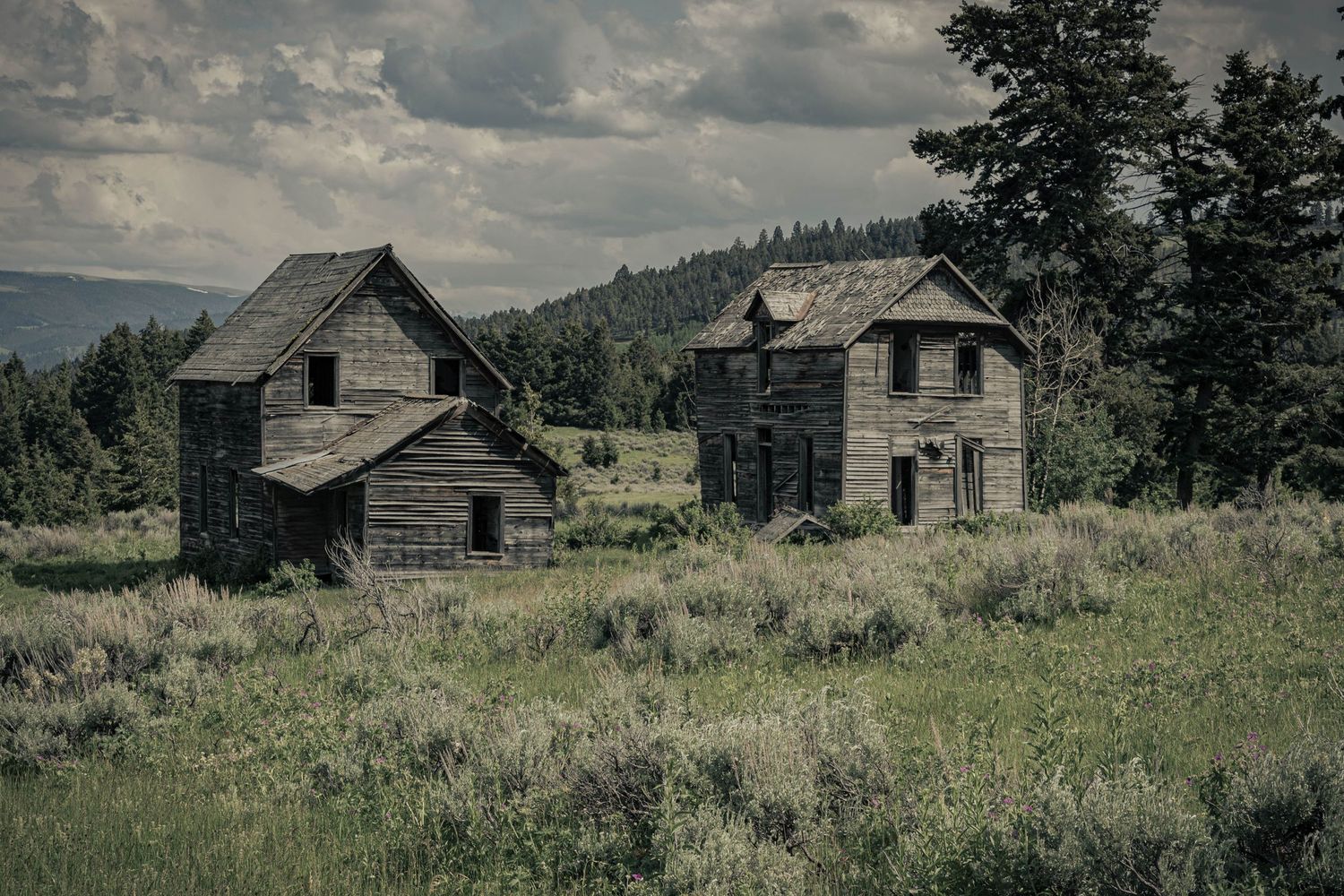 Abandoned wooden frontier buildings in a grassy meadow with evergreen trees and dramatic cloudy skies.