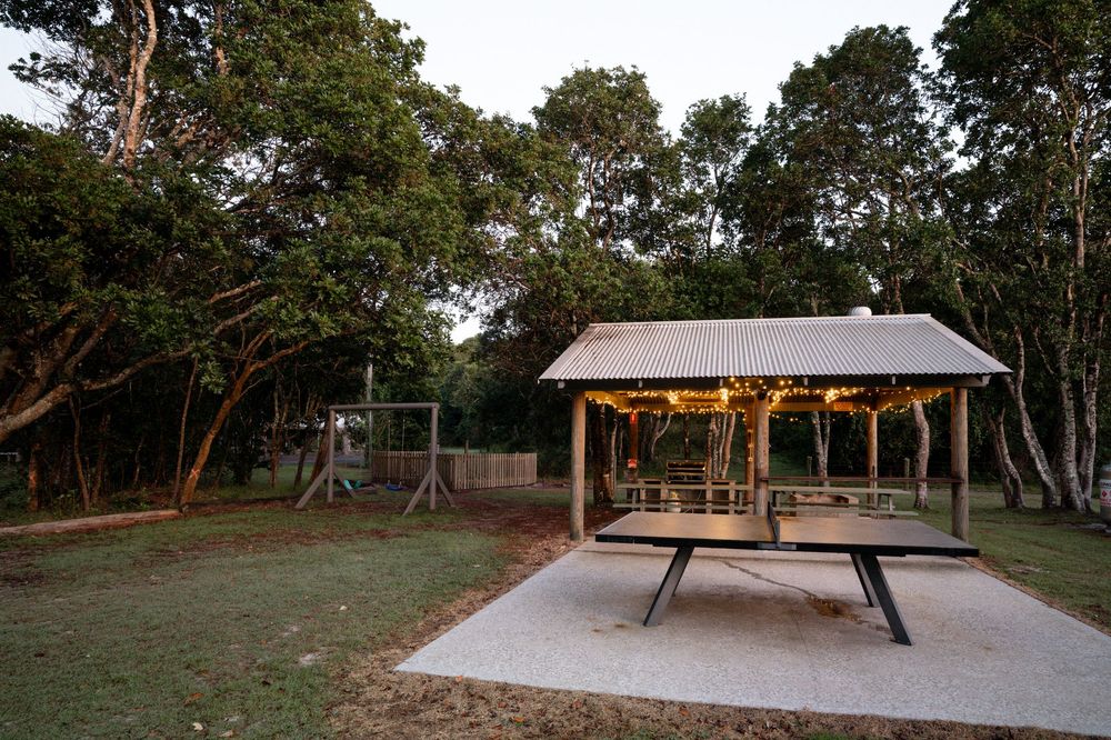 Outdoor pavilion with string lights and picnic table on concrete pad, surrounded by lush green trees at dusk.