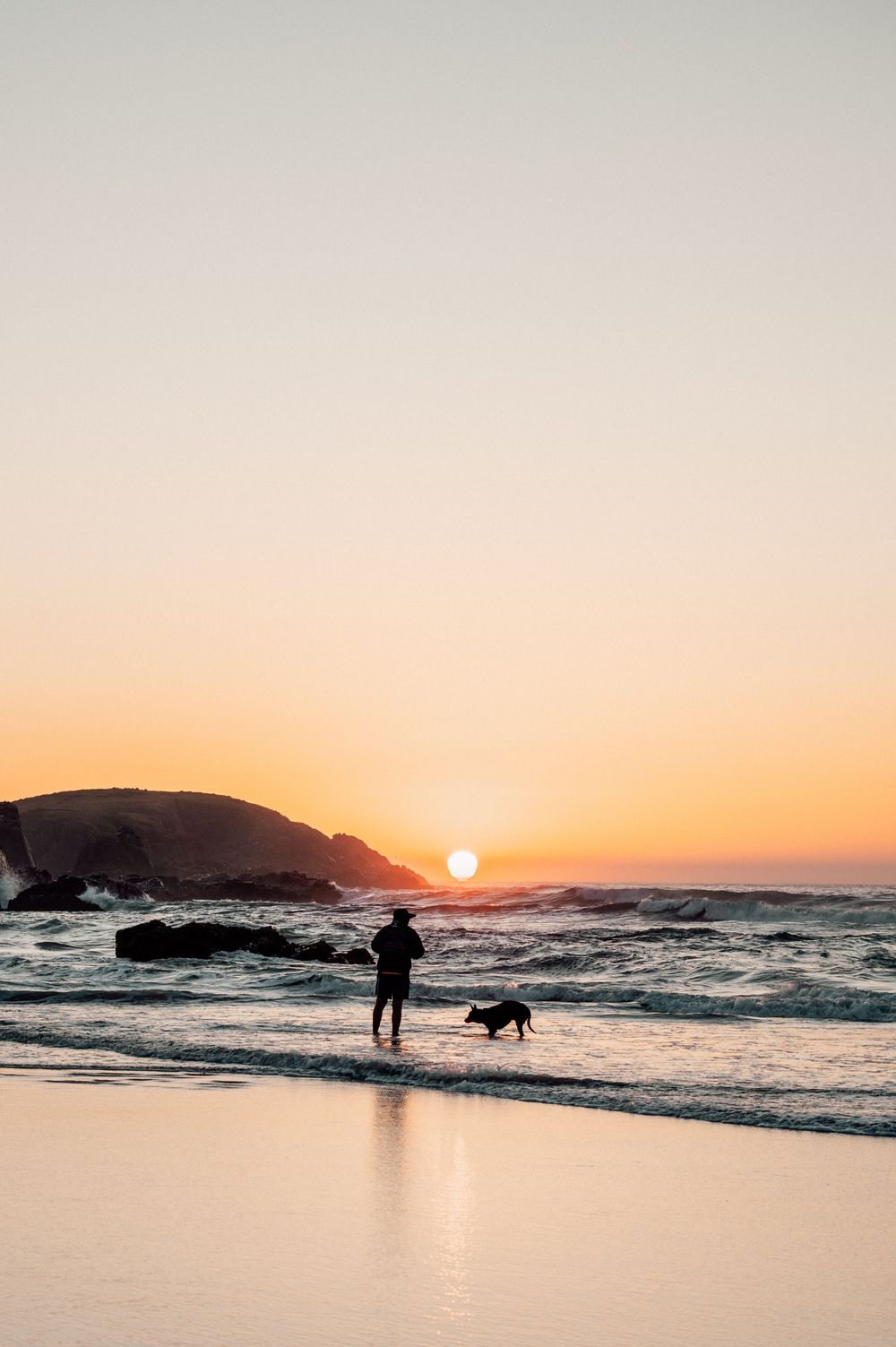 Silhouette of a person and dog on a beach at golden sunset with ocean waves and rocky headland in background.