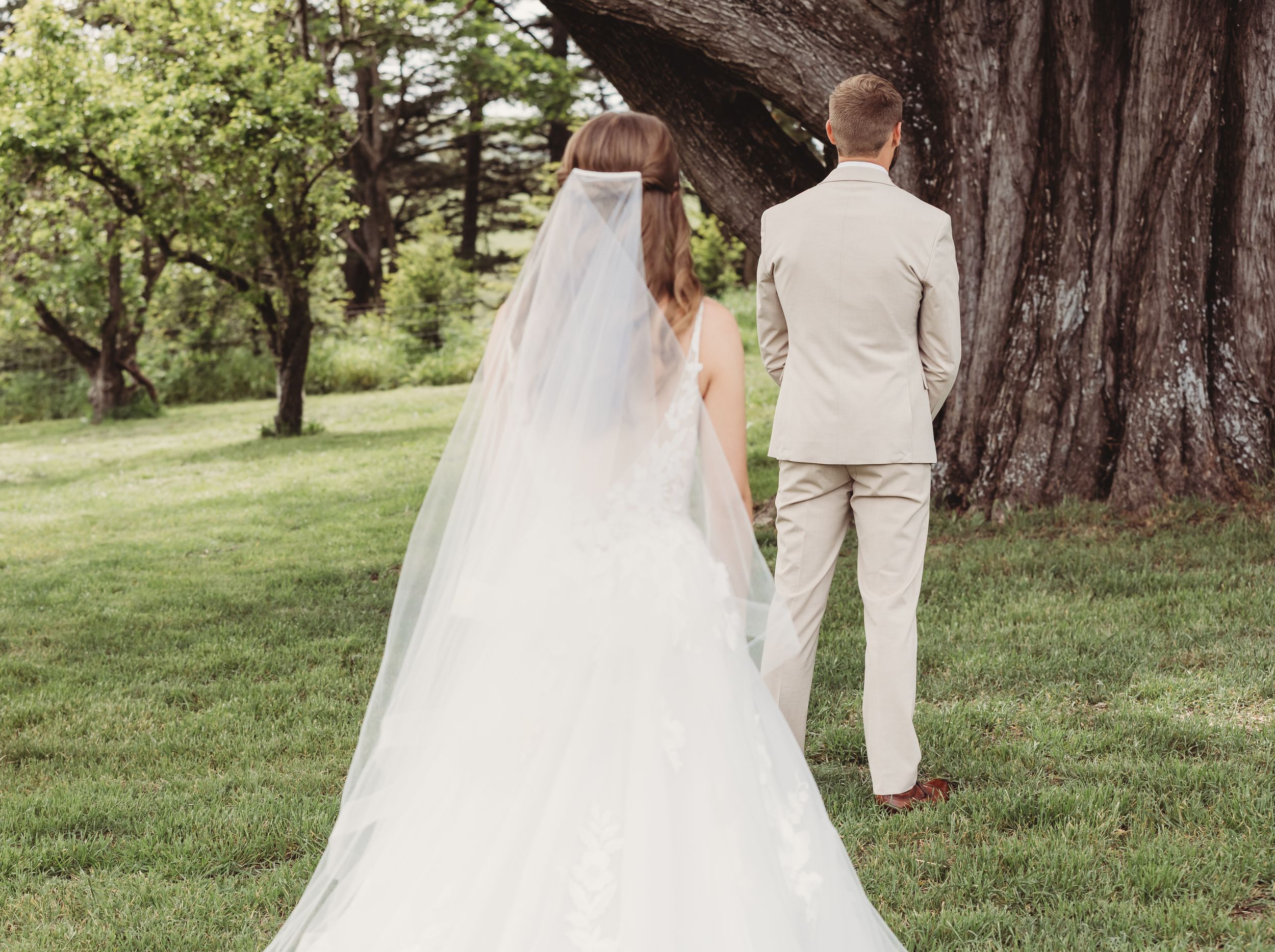 Bride in white gown with veil and groom in tan suit holding hands walking toward large tree outdoors.