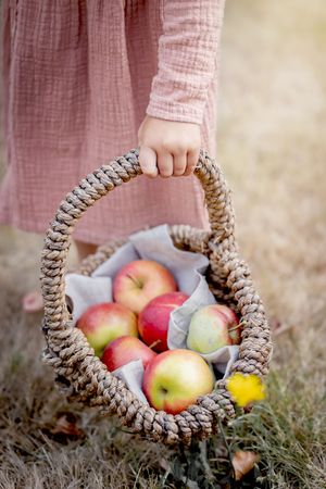 een rietje mandje, gevuld met appels, welke vastgehouden word door een meisje in een roze jurkje.
