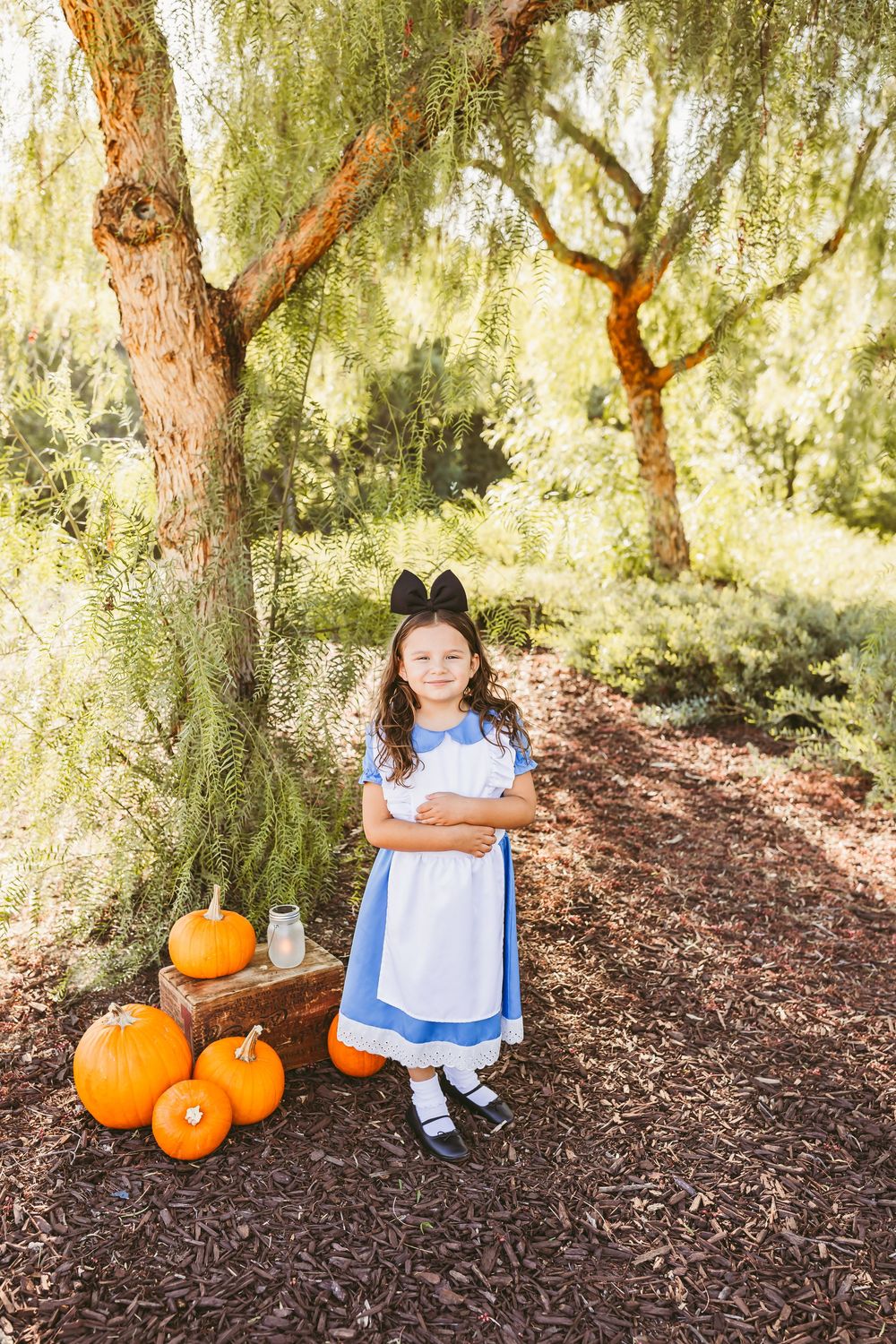 Young girl in Alice in Wonderland costume with pumpkins under willow tree in autumn outdoor setting.
