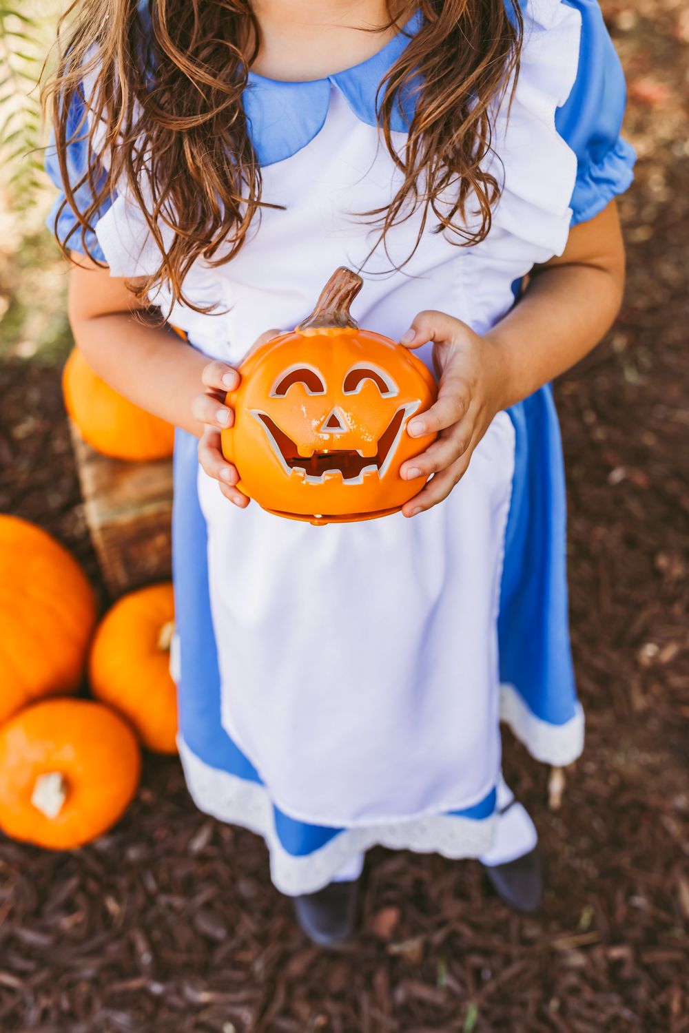 Young girl in Alice in Wonderland costume holding a carved jack-o-lantern pumpkin outdoors during Halloween.