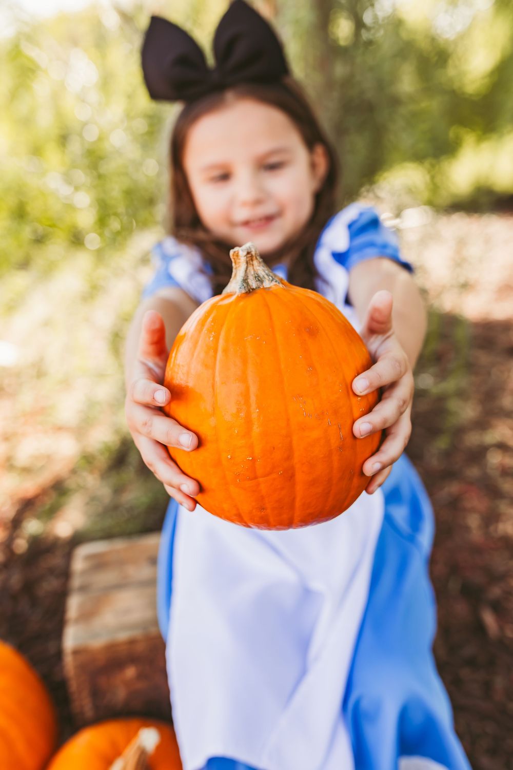Young girl in Alice in Wonderland costume holding an orange pumpkin outdoors during fall harvest season.