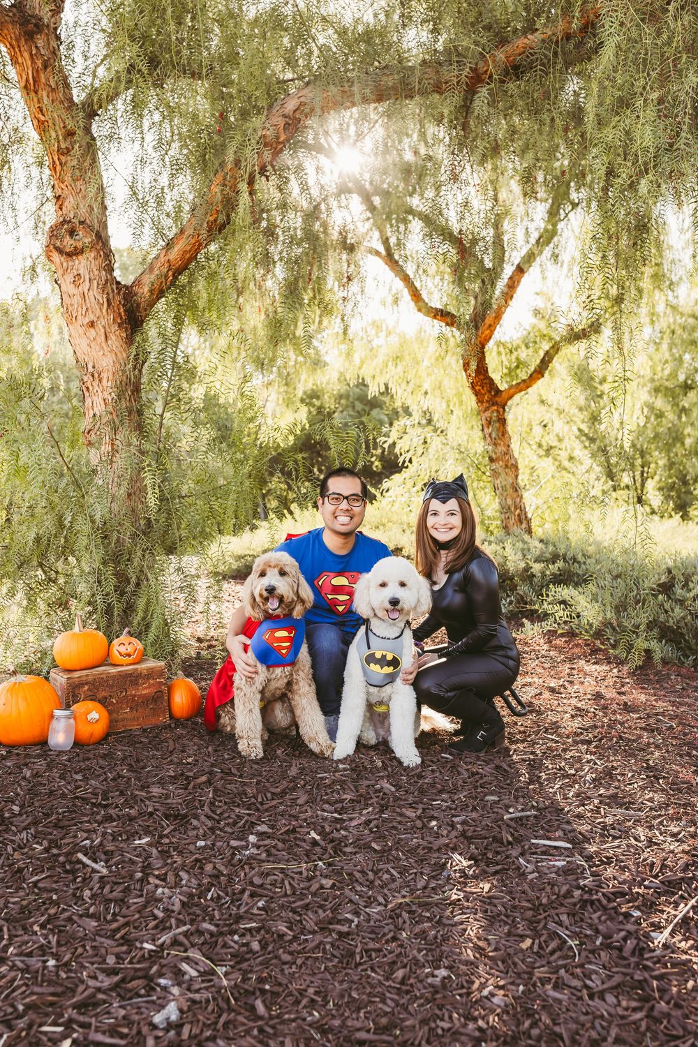 Couple in Halloween costumes with two dogs dressed as Superman and Batman posing outdoors with pumpkins.