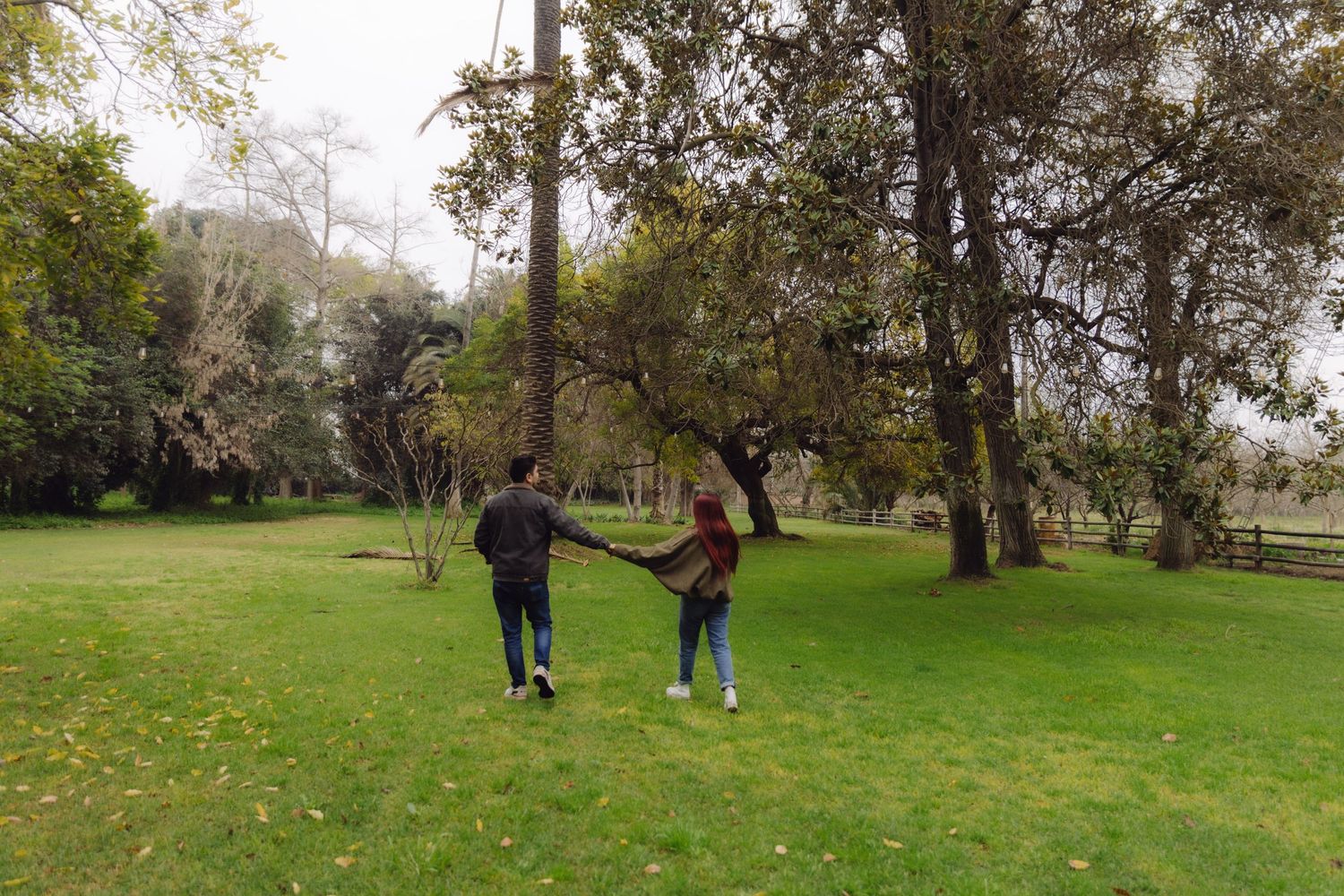 Couple holding hands and walking through a lush green park surrounded by tall trees.