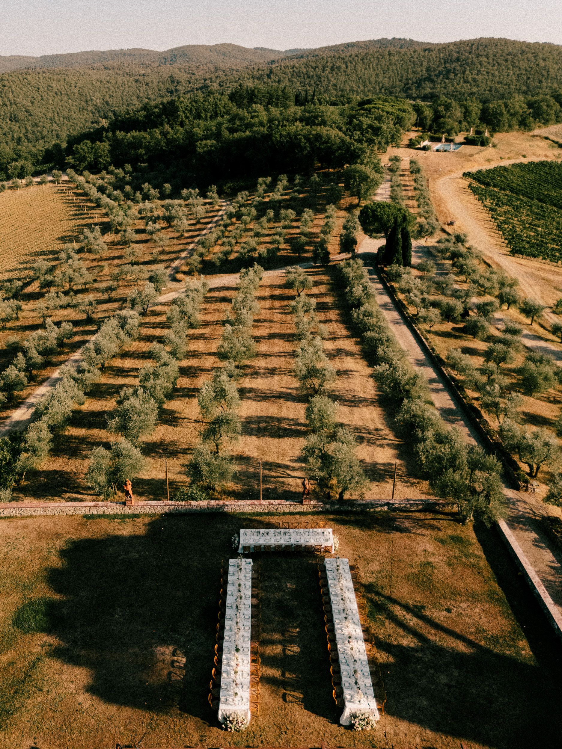 Aerial view of an outdoor wedding reception set between olive tree rows in a Mediterranean landscape.