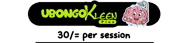 Brand logo for Biz-Test by How showing a green cartoon mascot character holding a flag against red background.