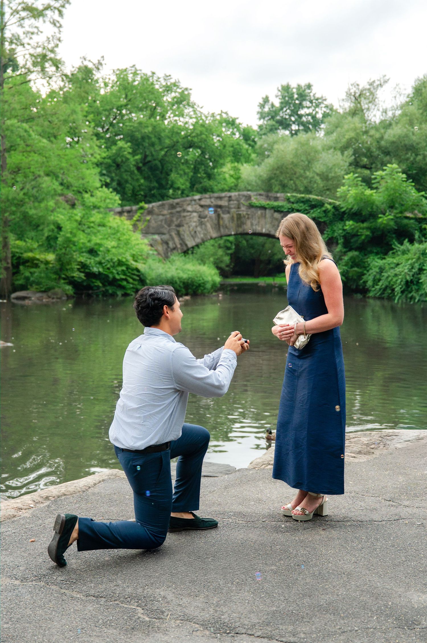 Man proposes to woman in navy dress by a pond with stone Gapstow Bridge in the background in Central Park, New York.