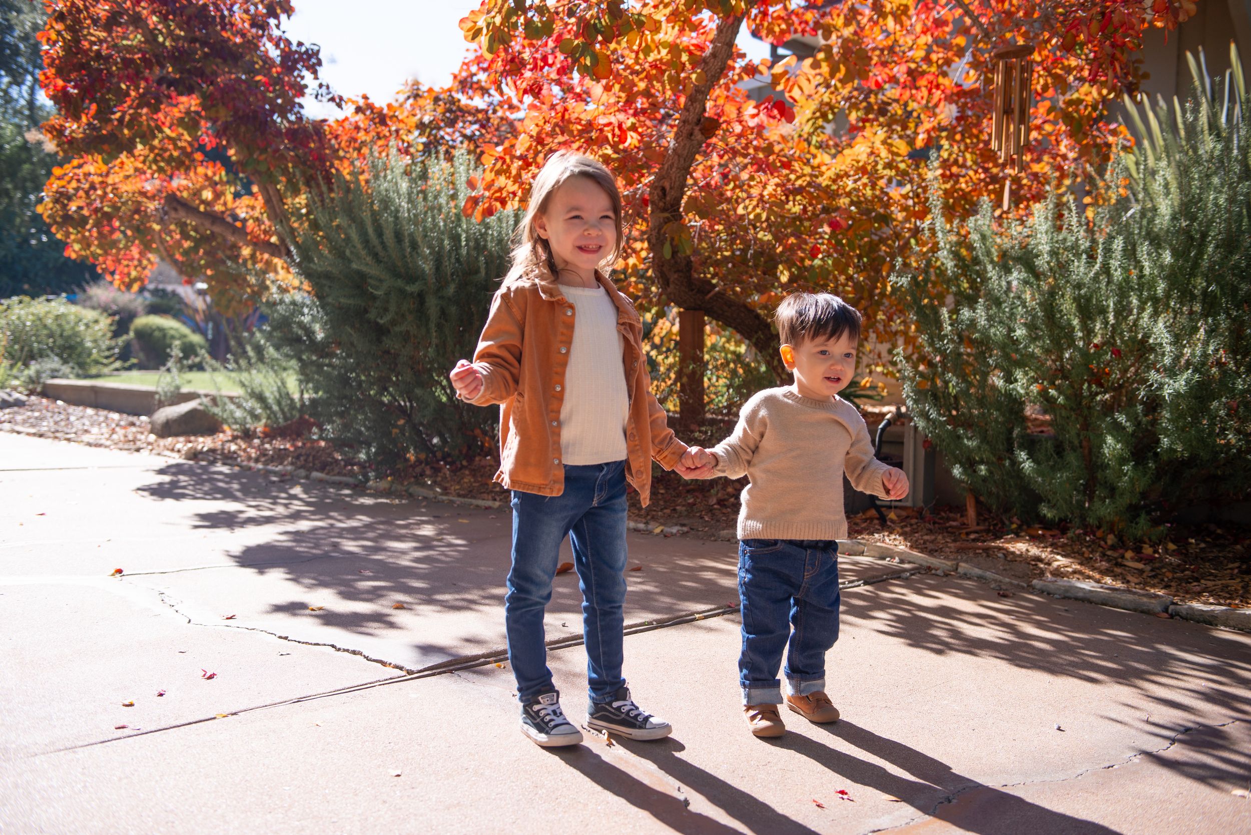 Two young children holding hands and walking on a sunny path surrounded by vibrant autumn foliage in a park.