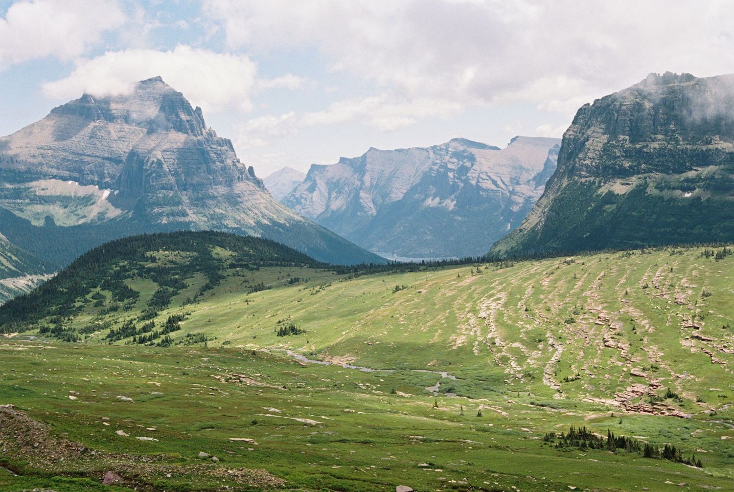 Alpine meadows Glacier National Park