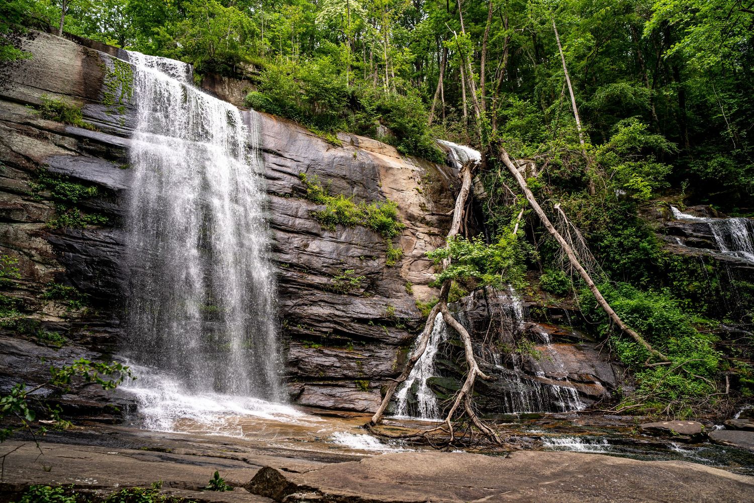 Twin Falls waterfall in South Carolina cascades over rocky cliffs surrounded by lush green forest trees in a scenic nature landscape.
