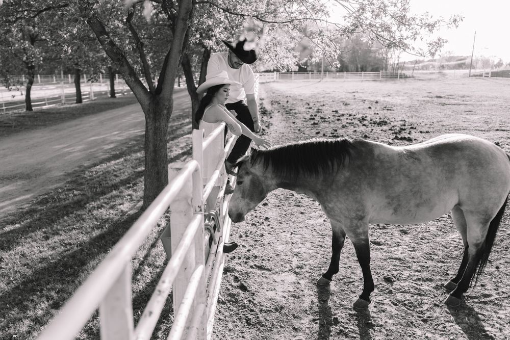 Black and white photo of a person petting a horse over a white fence on a rural farm.