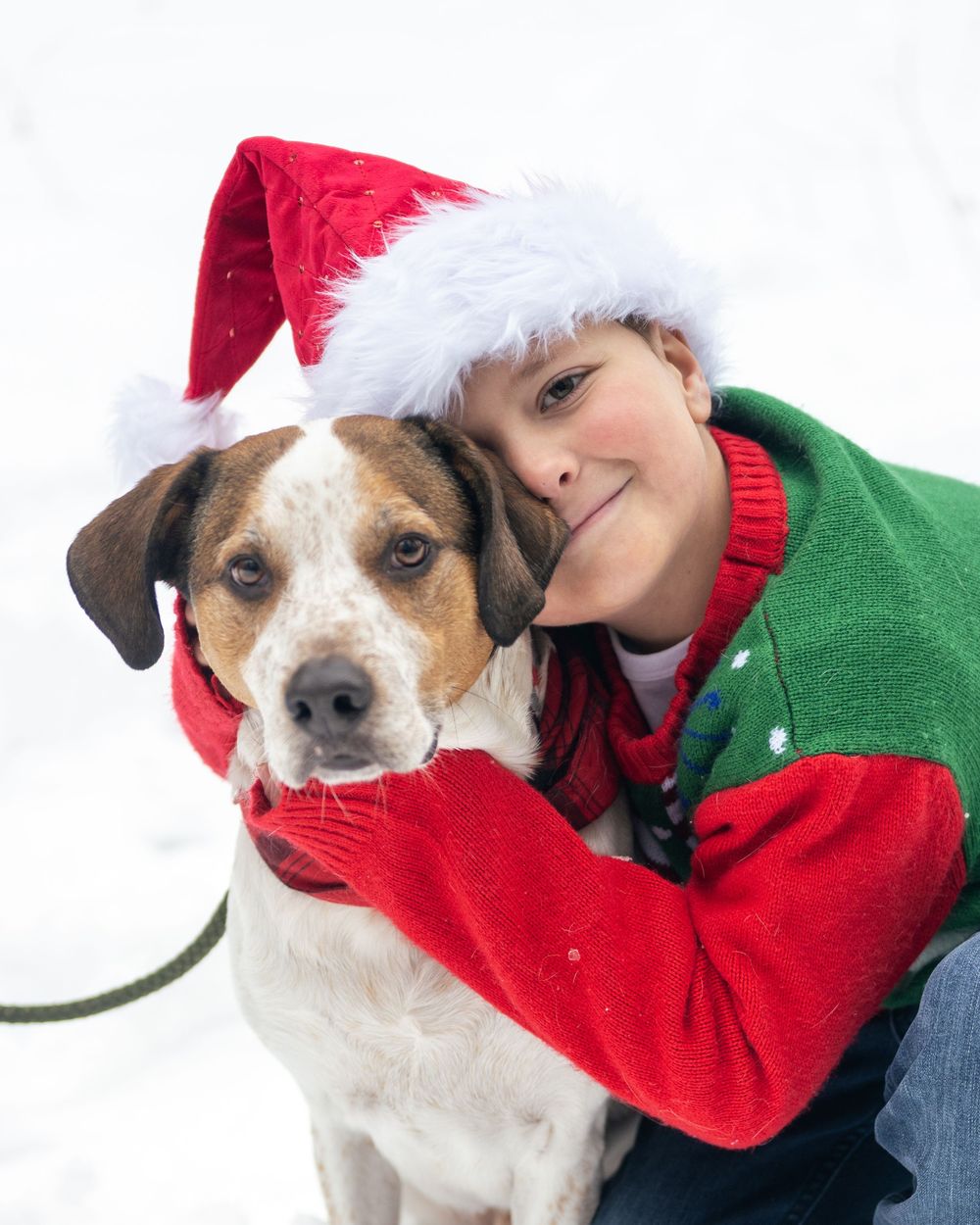 Boy in Santa hat hugging brown and white dog in snowy winter setting, wearing festive Christmas sweater.