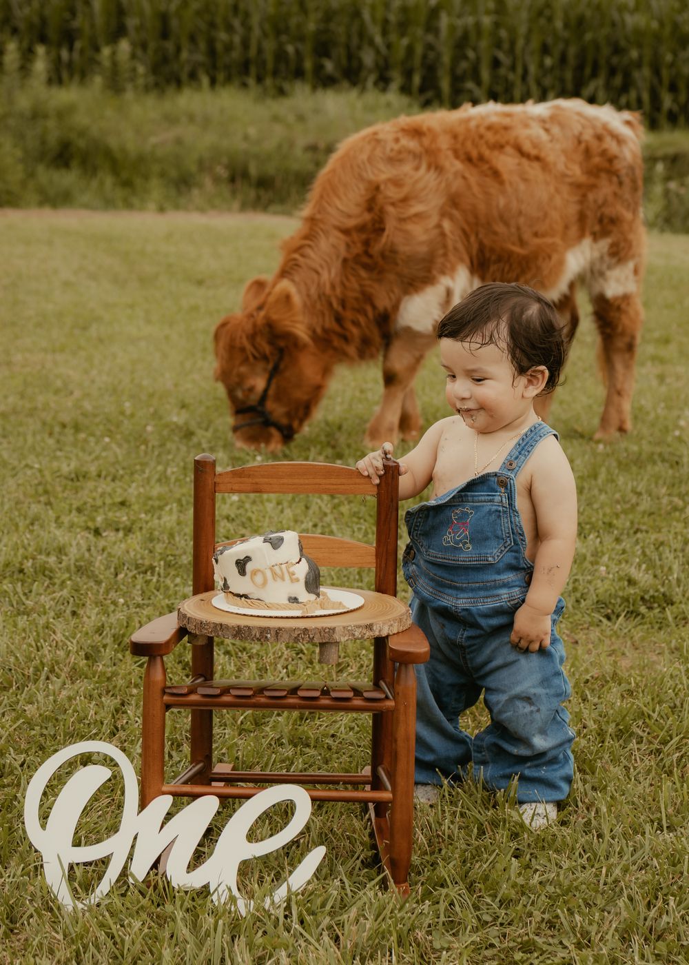 Baby boy in denim overalls with cow smash cake on chair beside a grazing calf outdoors.