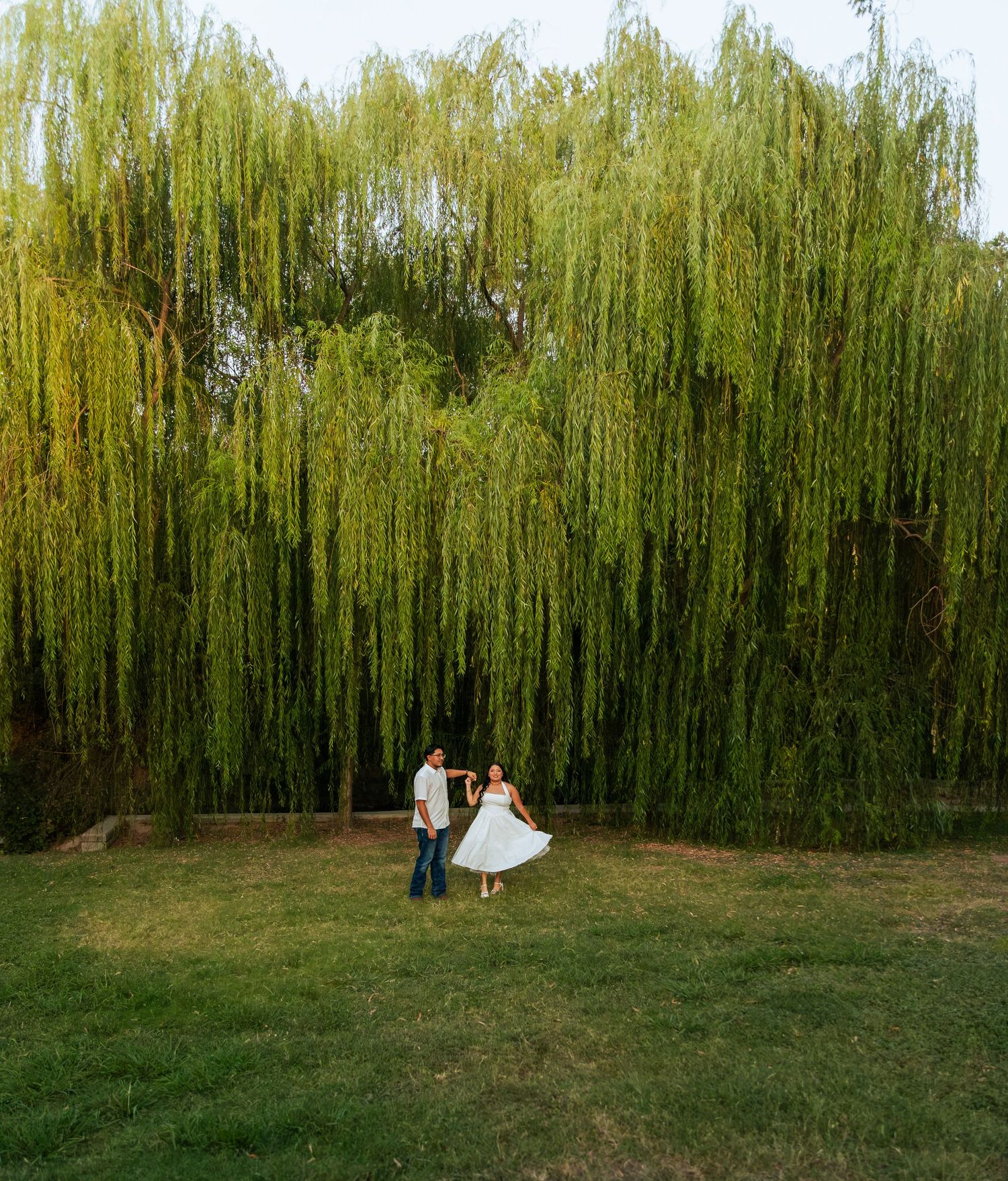 A couple dances on green grass before a grand weeping willow tree at golden hour.