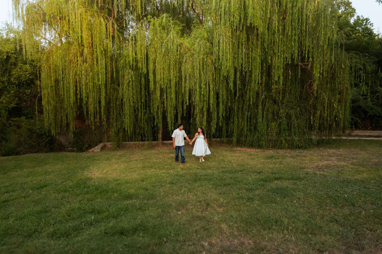 Couple in wedding attire holding hands walking toward a weeping willow tree on a green lawn at sunset.