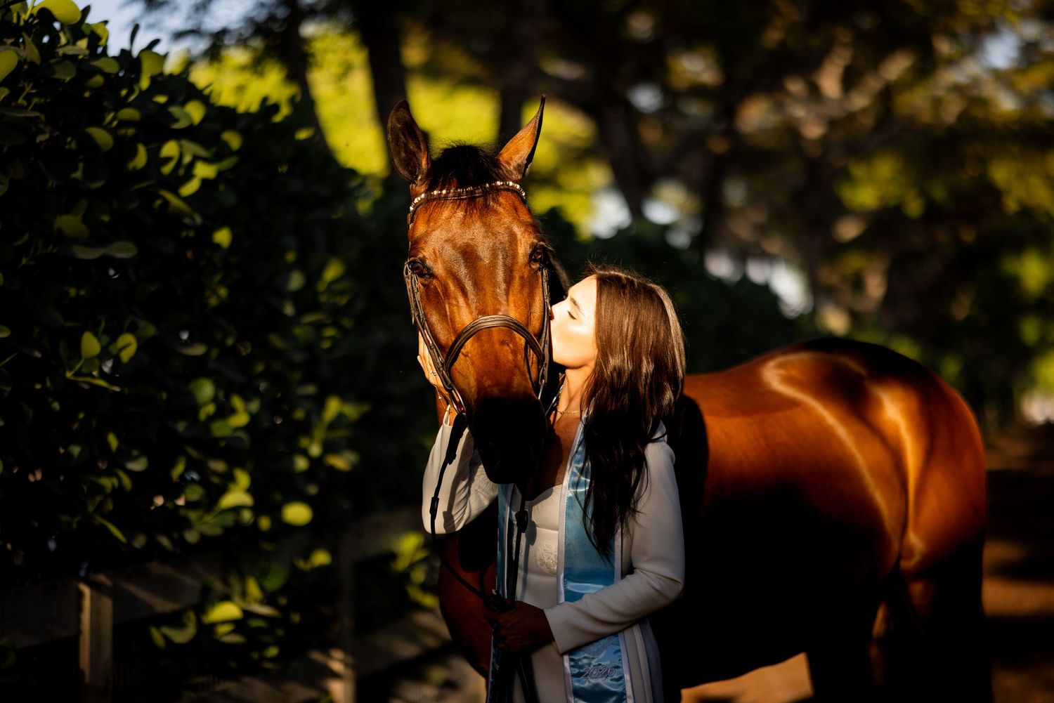 Young woman with long hair shares a tender moment kissing a chestnut horse outdoors in golden light.