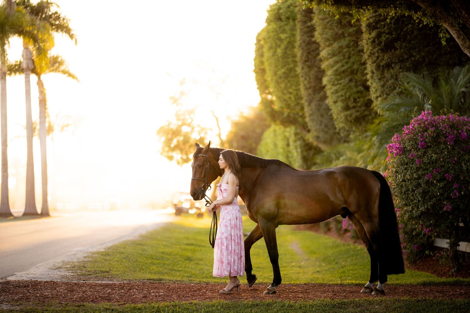 Young woman in pink dress standing beside a dark bay horse at golden hour near palm trees and blooming flowers.