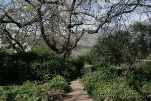 Browse Cape Winelands wedding venues for real weddings by Christene de Coning Photography at La Cotte Farm, Franschhoek