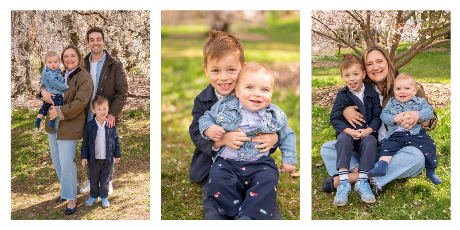 Family of four poses outdoors among spring blossoms, parents holding young children in a bright, cheerful garden setting.