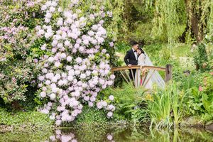 Couple embracing on a garden bridge surrounded by lush greenery and blooming pink rhododendrons near a tranquil pond.
