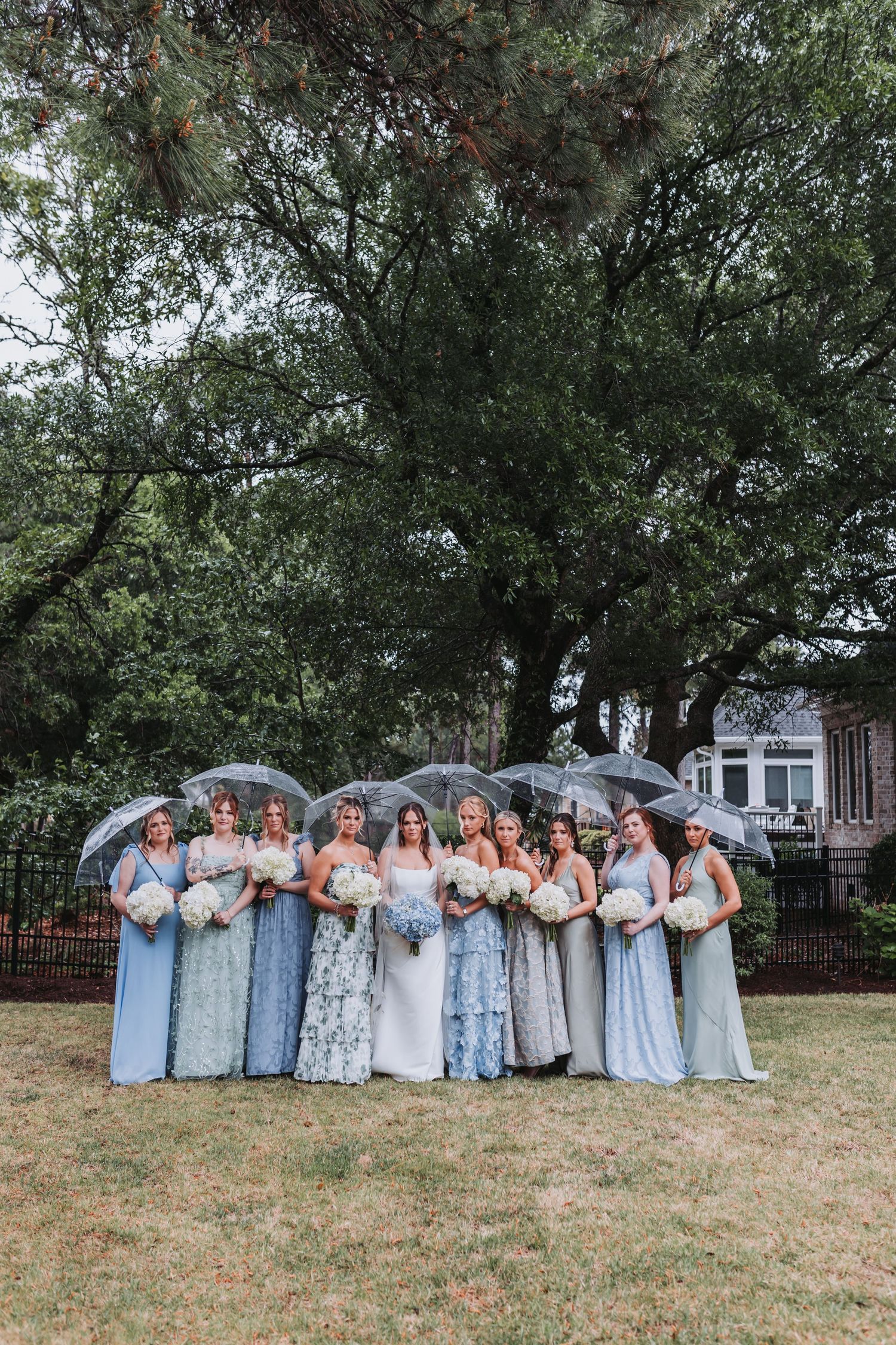 Bridal party in blue dresses hold clear umbrellas under large tree on wedding day.