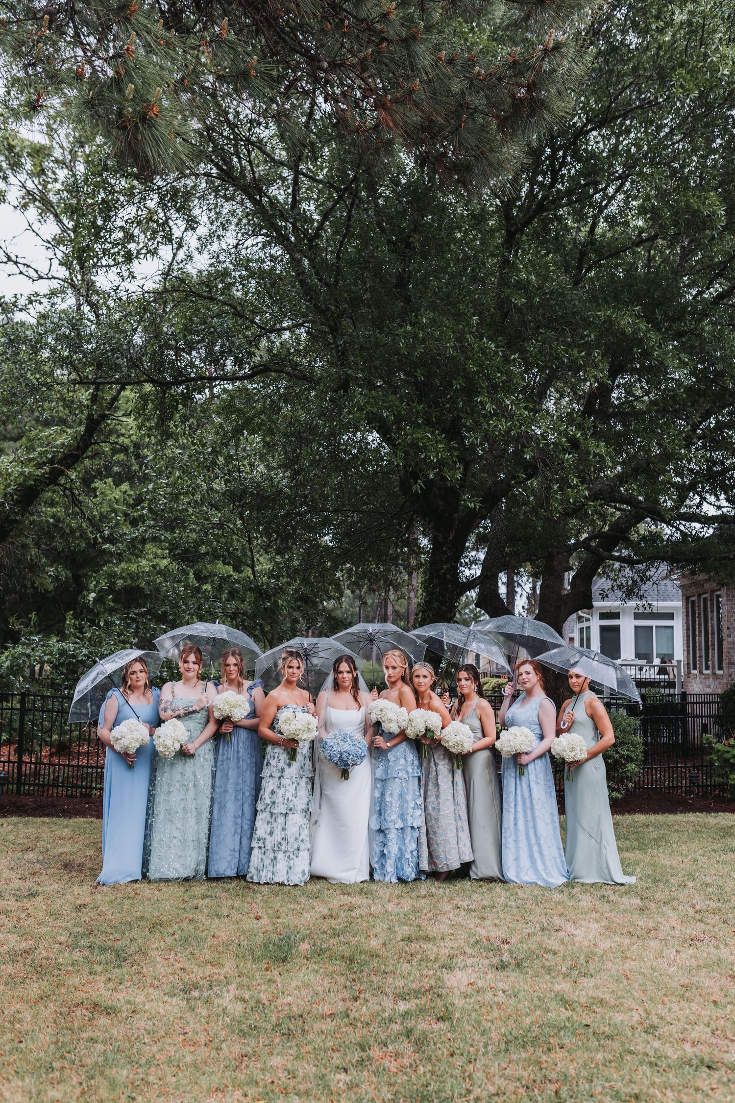 Bridesmaids in blue dresses holding clear umbrellas with bride outdoors under large trees.