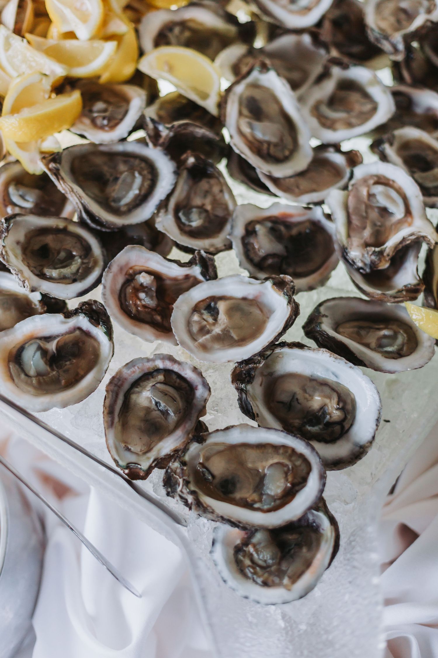 Fresh shucked oysters on ice served with lemon wedges at a wedding catering display.