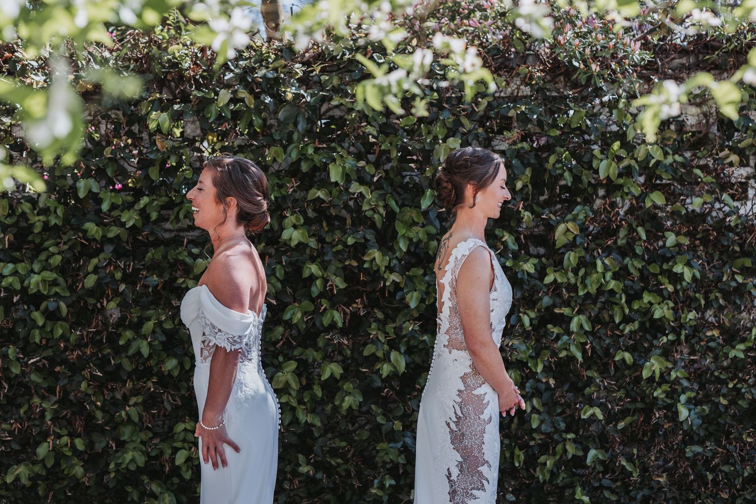 Two brides in white lace gowns standing back-to-back before a lush green ivy hedge wall.