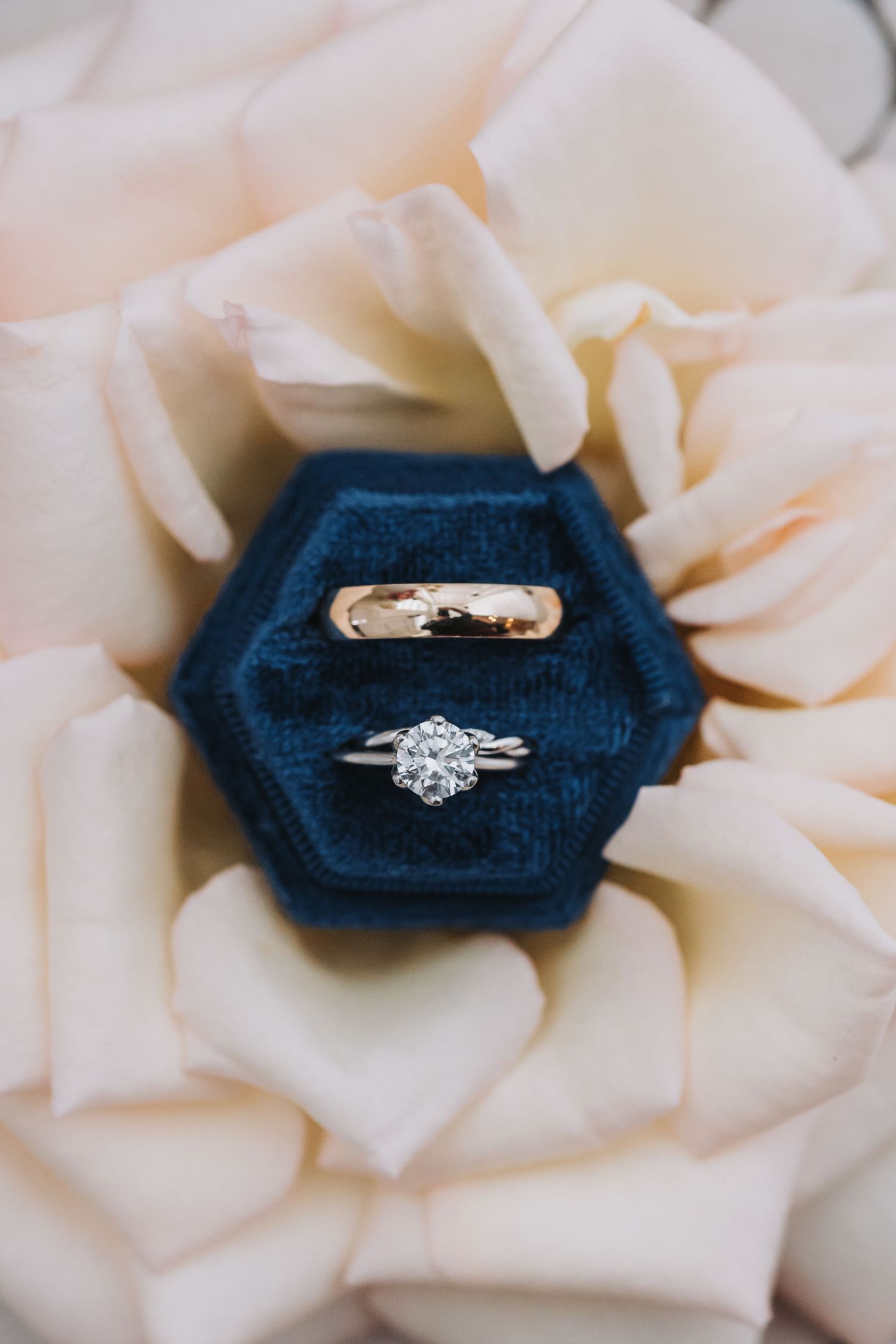 Diamond engagement ring and gold wedding band displayed in a navy blue velvet hexagon ring box on soft blush rose petals.