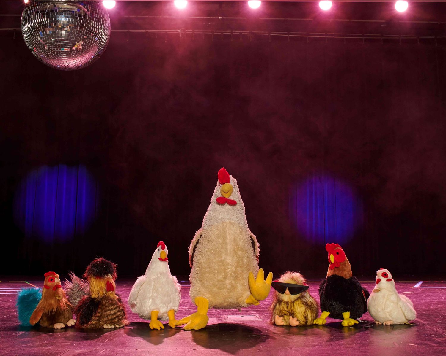 Chicken family on a chorus line under the spotlights!