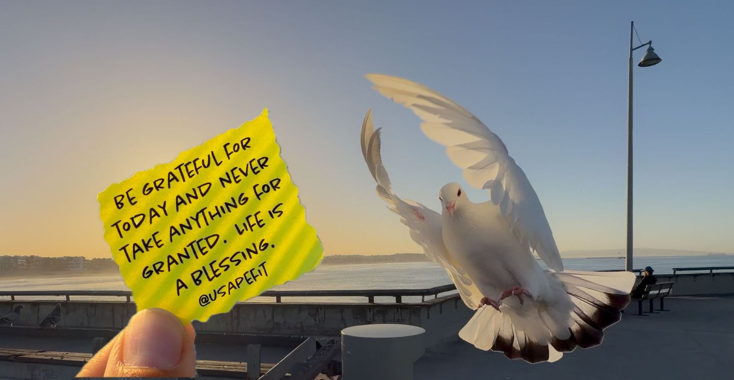 A white dove flies near a yellow sticky note with a gratitude quote at sunset on a waterfront pier.