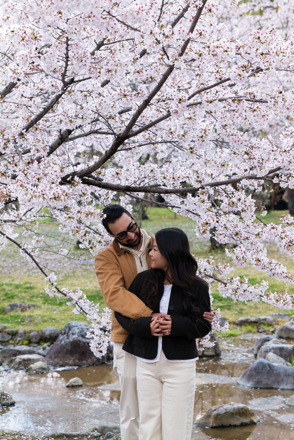 Couple embracing under blooming cherry blossom tree in spring, surrounded by rocks and pink sakura flowers.