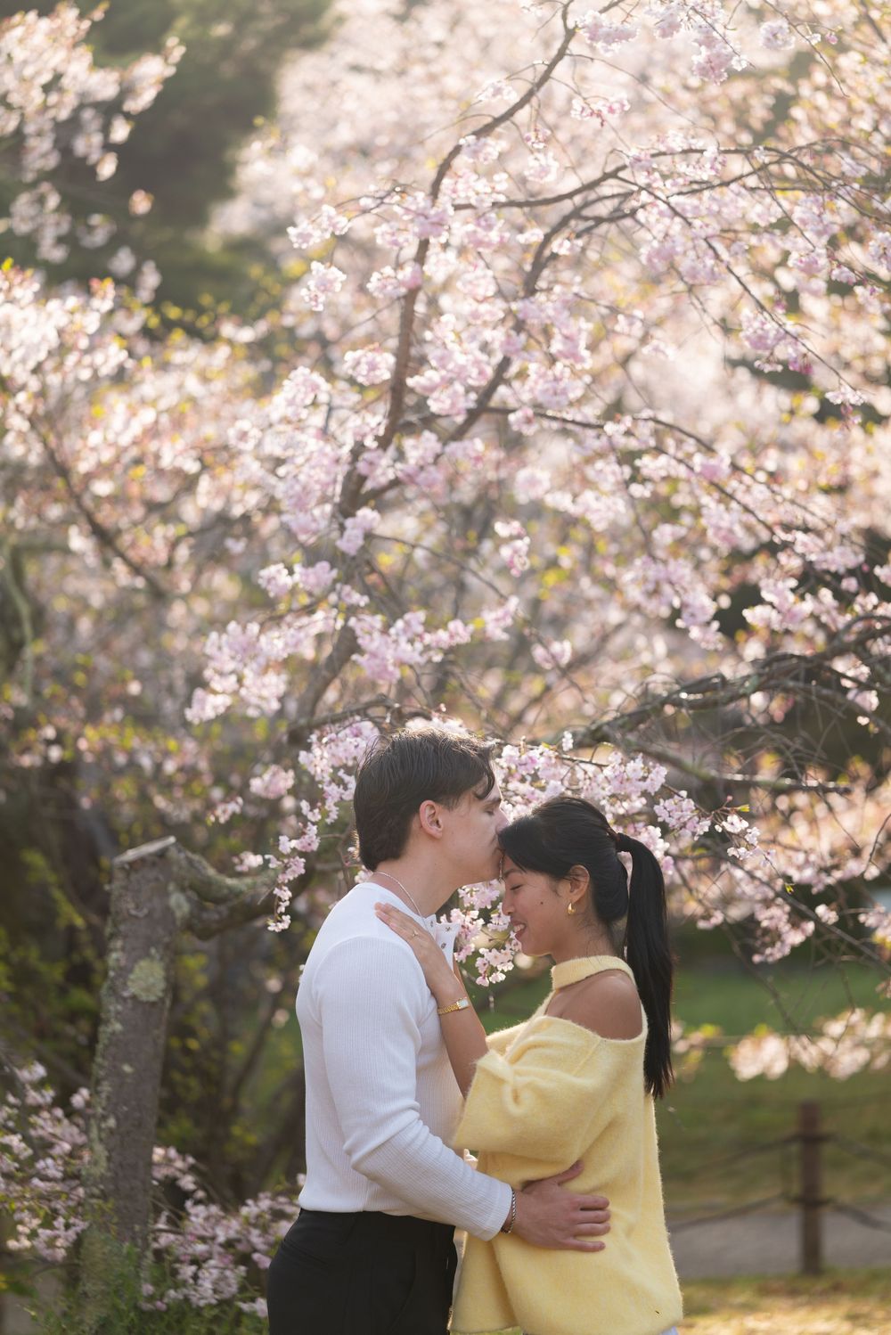 Couple sharing a romantic moment under blooming cherry blossom trees, woman in yellow dress, man in white shirt.