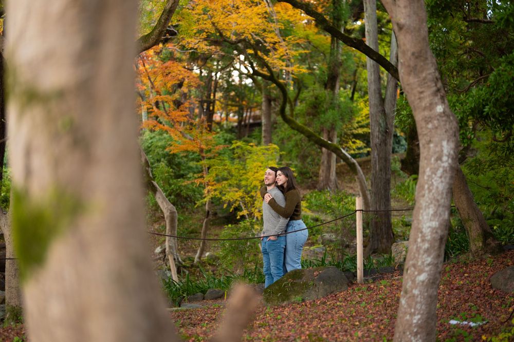 Couple embracing in a lush autumn park surrounded by colorful trees with golden and green foliage.