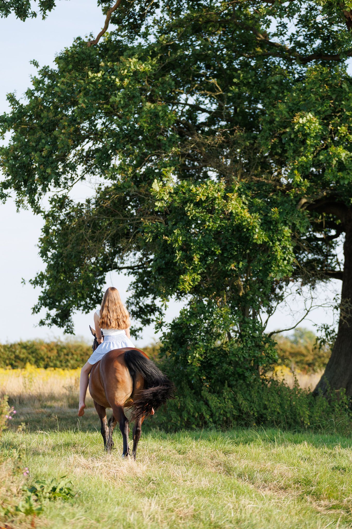 Woman in light blue gown walking with a bay horse on a sunlit tree-lined gravel path.
