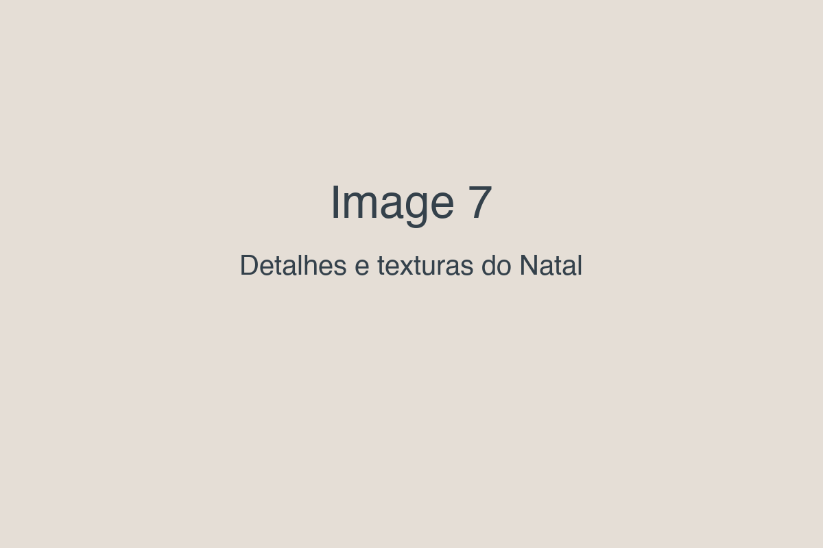 Image 7 — Detalhes e texturas do cenário de Natal.