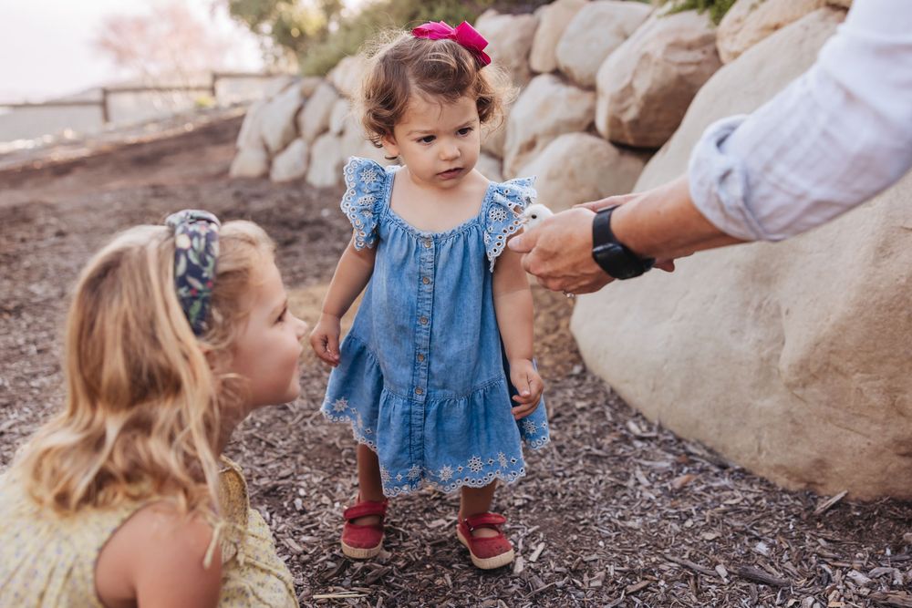 A toddler in a blue dress with a pink bow holds an adult's hand on a gravel path next to large landscaping rocks.