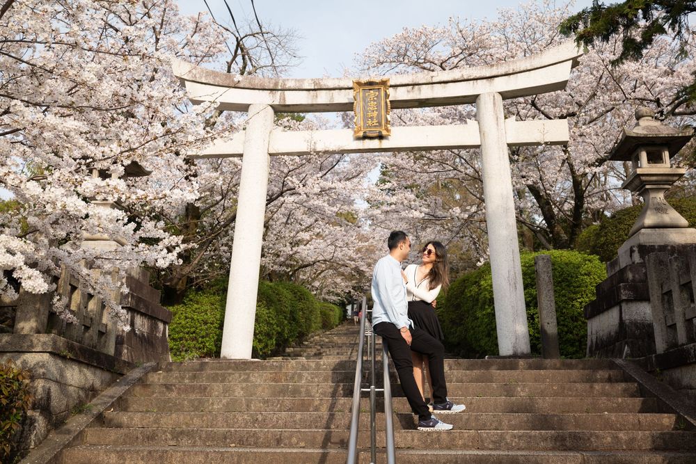 Couple posing together on stone steps beneath a white torii gate framed by blooming pink cherry blossoms at a Japanese shrine.