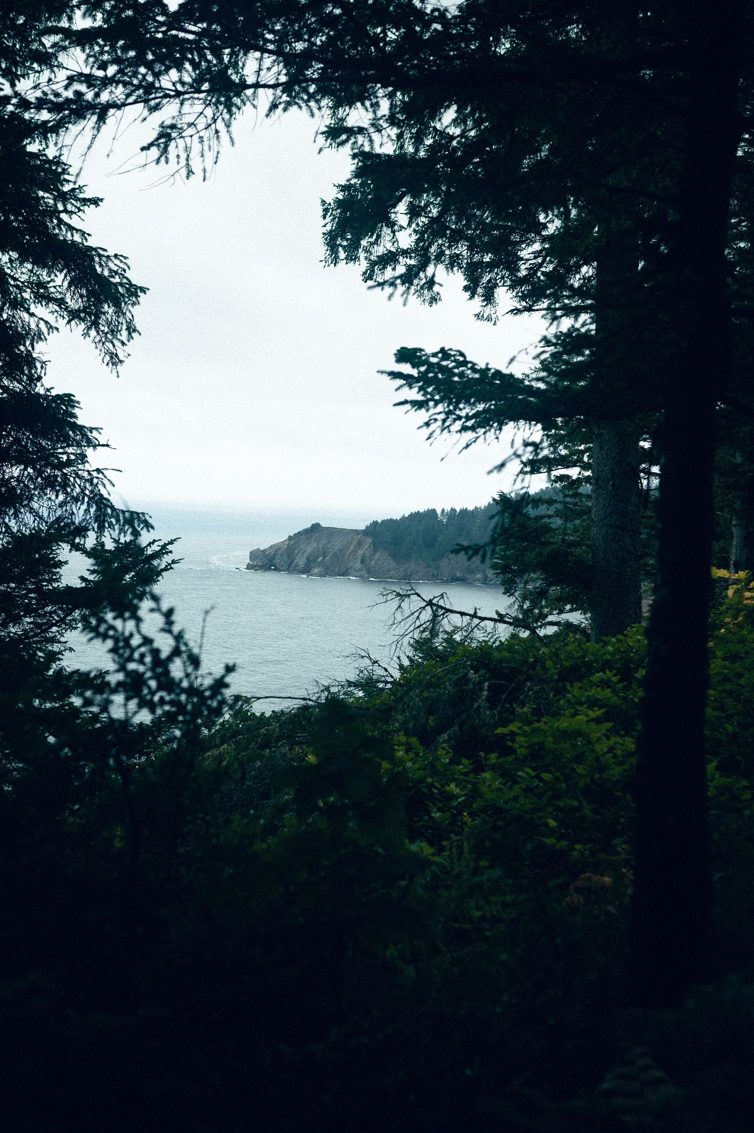 20 best things to do along the Oregon coast road trip. Elk Flats Trail Oregon. Destination and travel photography by Carl James