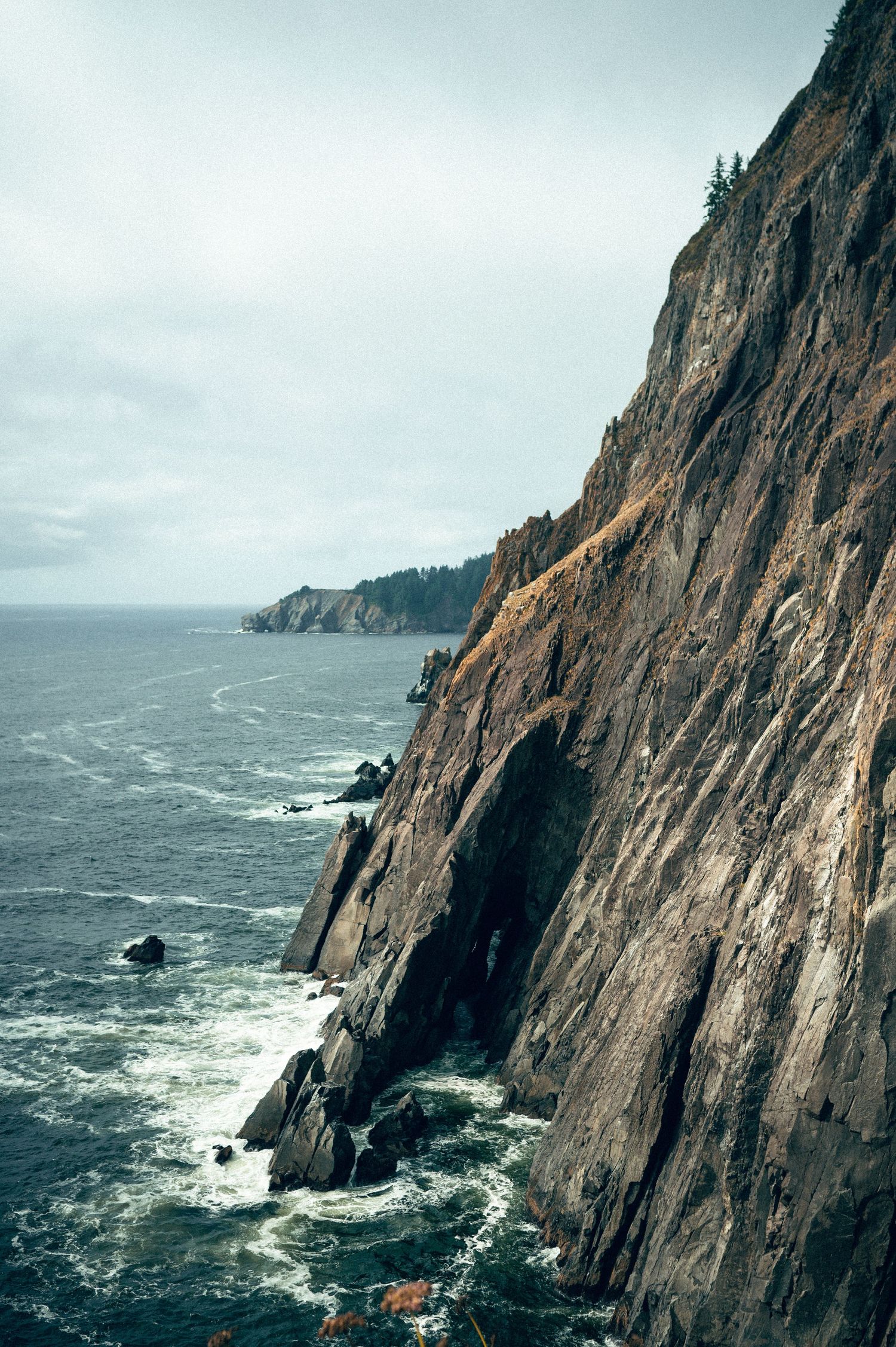 20 best things to do along the Oregon coast road trip. Elk Flats Trail Oregon. Destination and travel photography by Carl James