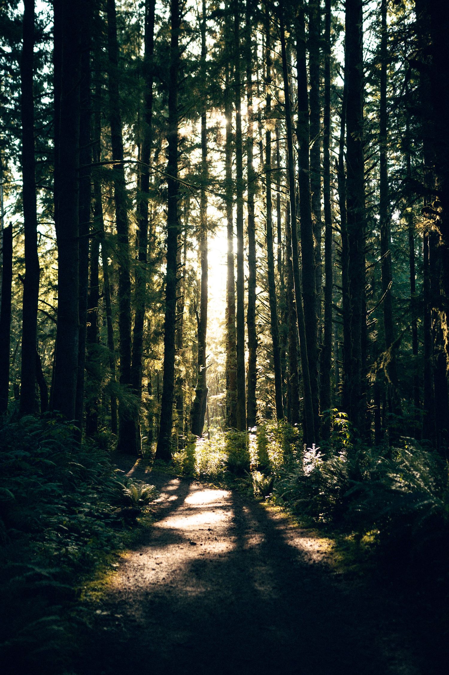 20 best places to see God's Thumb Oregon. Oregon Coast Road trip travel photography - outdoor and wellness focused travel photography
