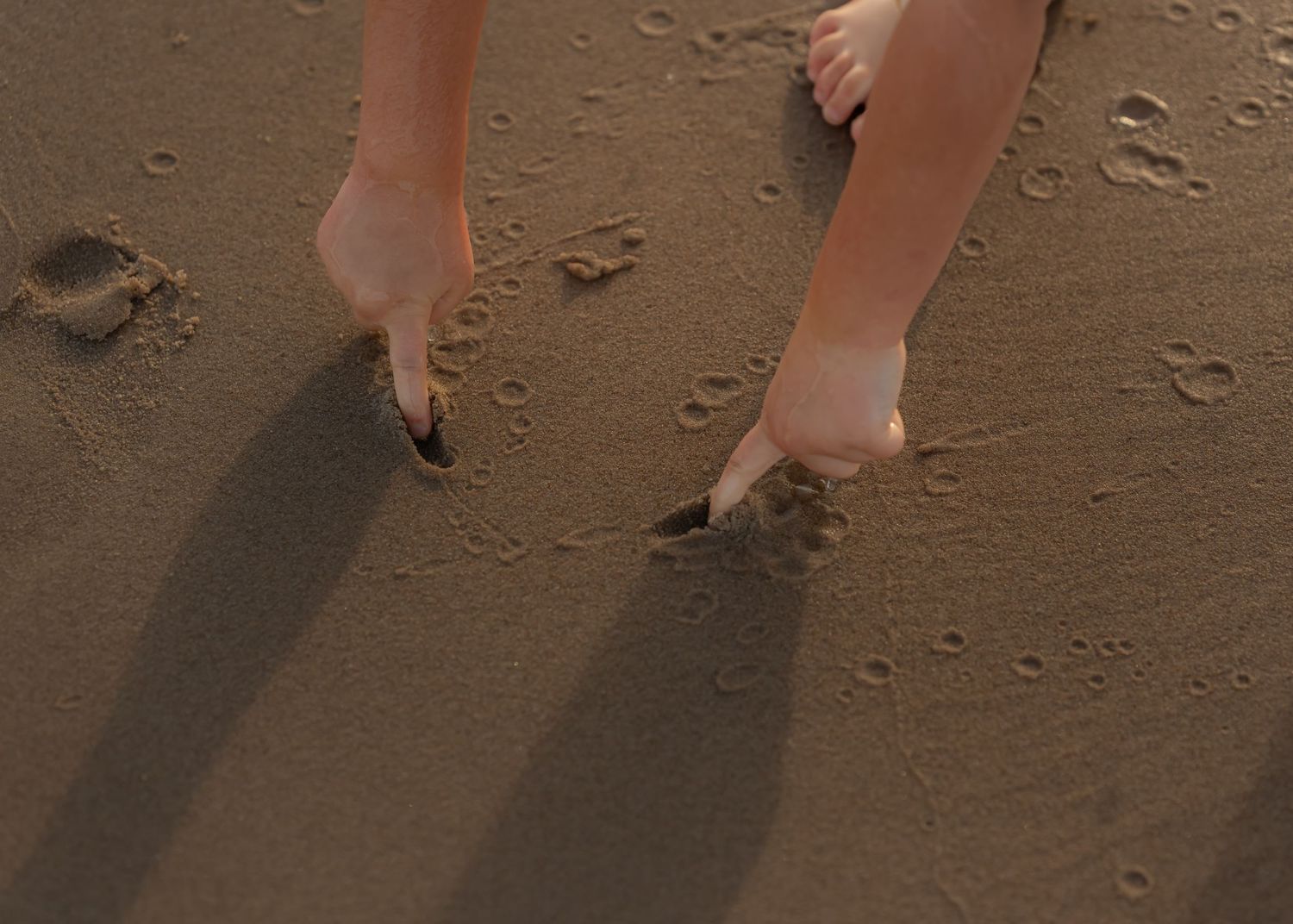 Two bare feet walking on wet sandy beach leaving footprints, with small animal tracks visible in the sand.