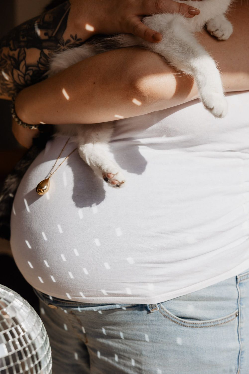 Gros plan sur le ventre arrondi d'une femme enceinte, point lumineux de boule a facette, la future maman tient son chat dans les bras