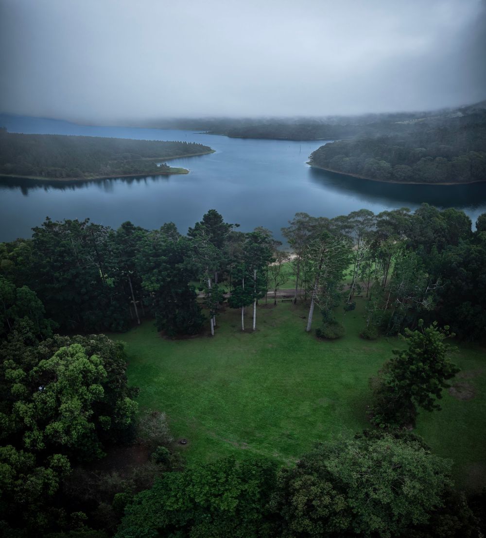 Aerial view of a lush green coastline with dense forest and winding waterways along a tranquil bay on a cloudy day.