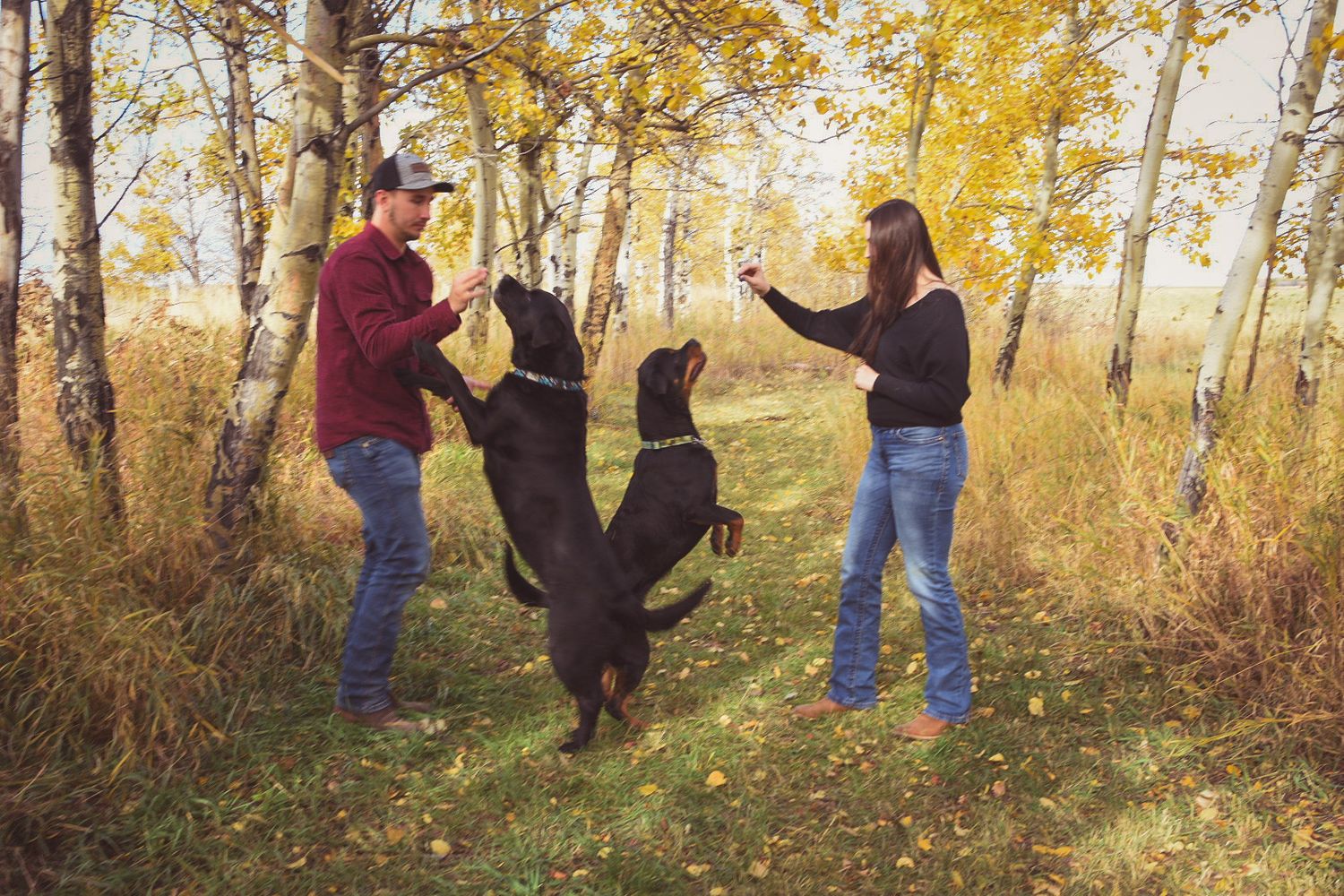dog photoshoot