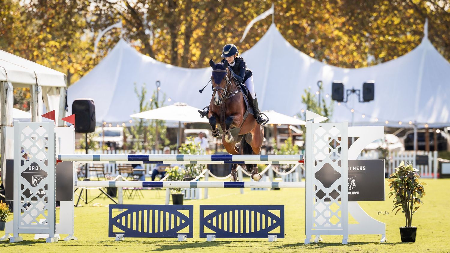 Alexander Jang and 'Griddy' in the Junior Championship at the 2025 Divas Beverages Showcase of Showjumping. © Simon Scully, 2025.