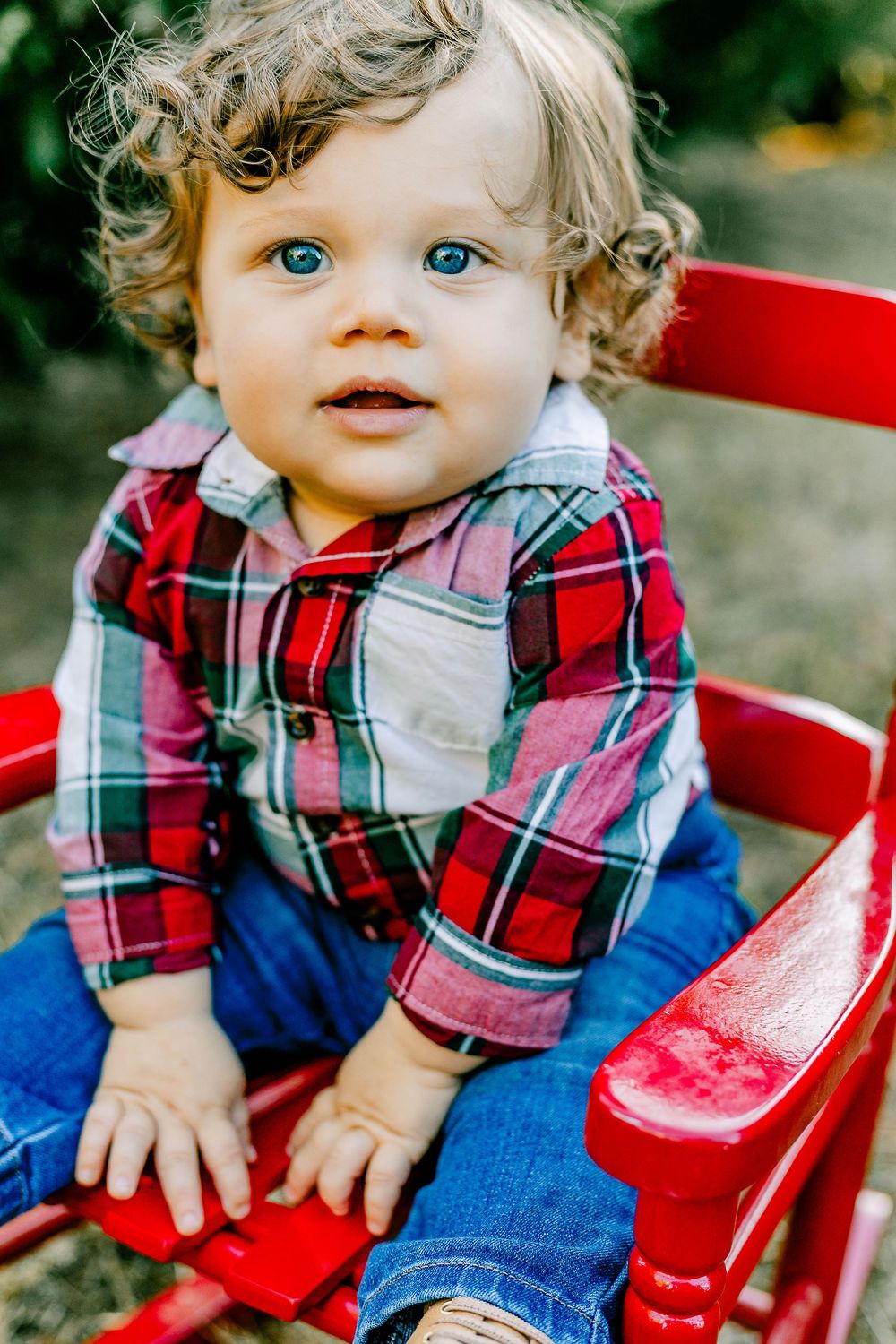 Todldler Christmas pictures at Penland Tree Farms in York, SC.